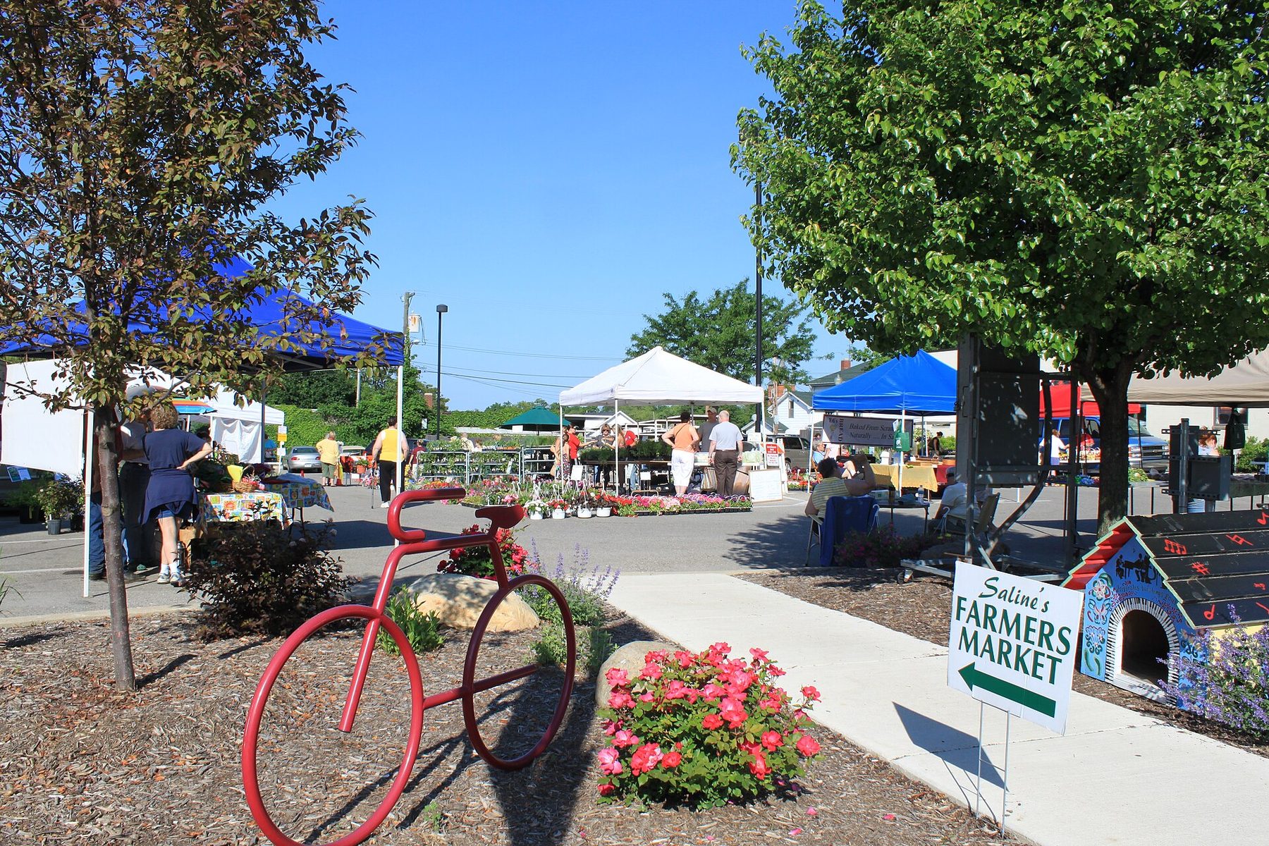 Saline farmers market